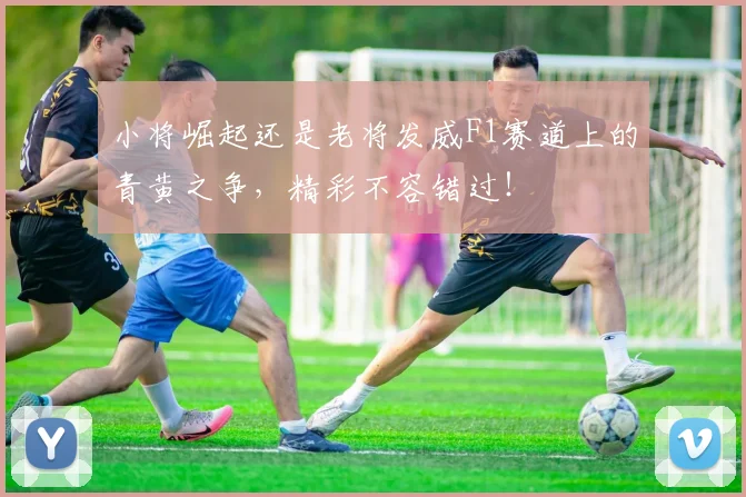 小将崛起还是老将发威F1赛道上的青黄之争，精彩不容错过！
