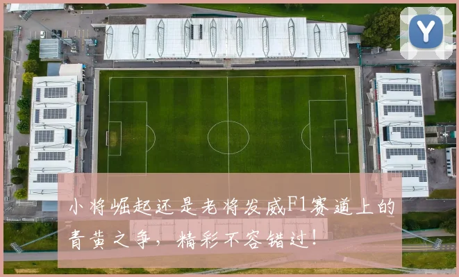 小将崛起还是老将发威F1赛道上的青黄之争，精彩不容错过！